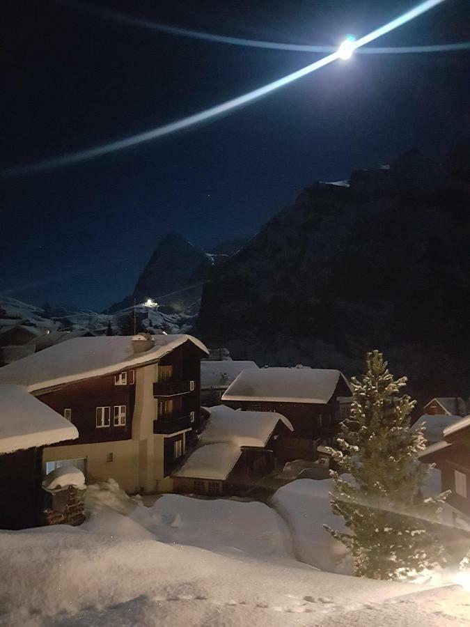 Chalet Anemone 2 Leilighet Mürren Eksteriør bilde